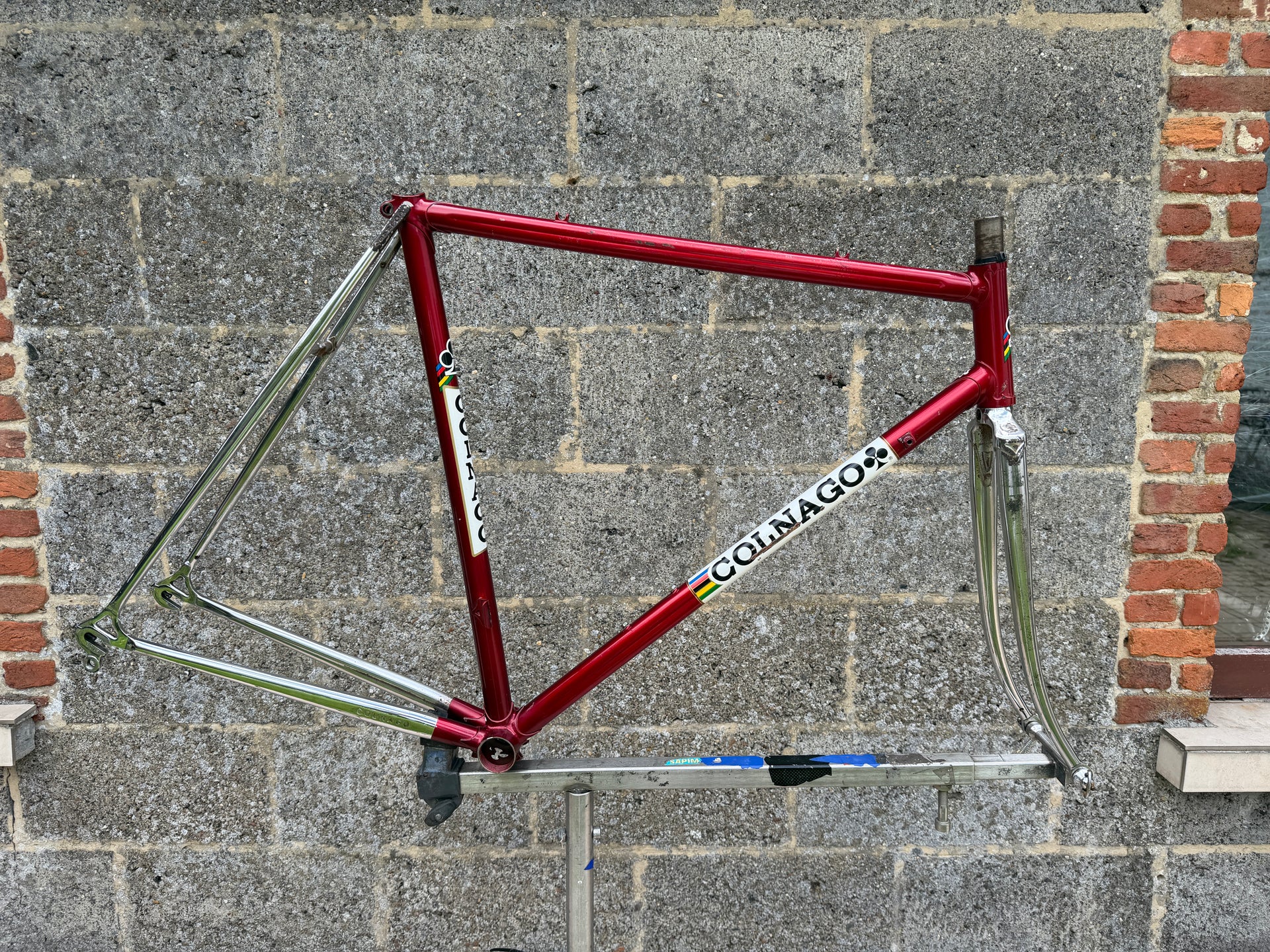 Colnago Nuovo Mexico Saronni