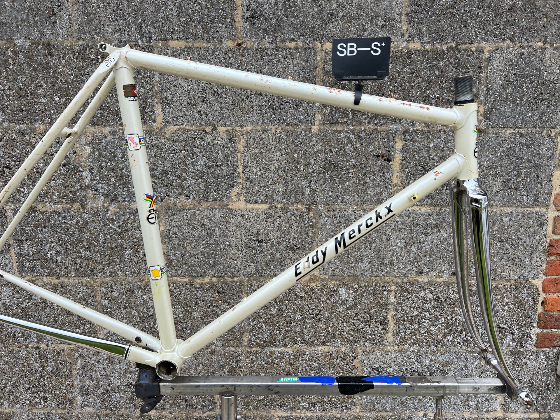 Eddy Merckx Professional