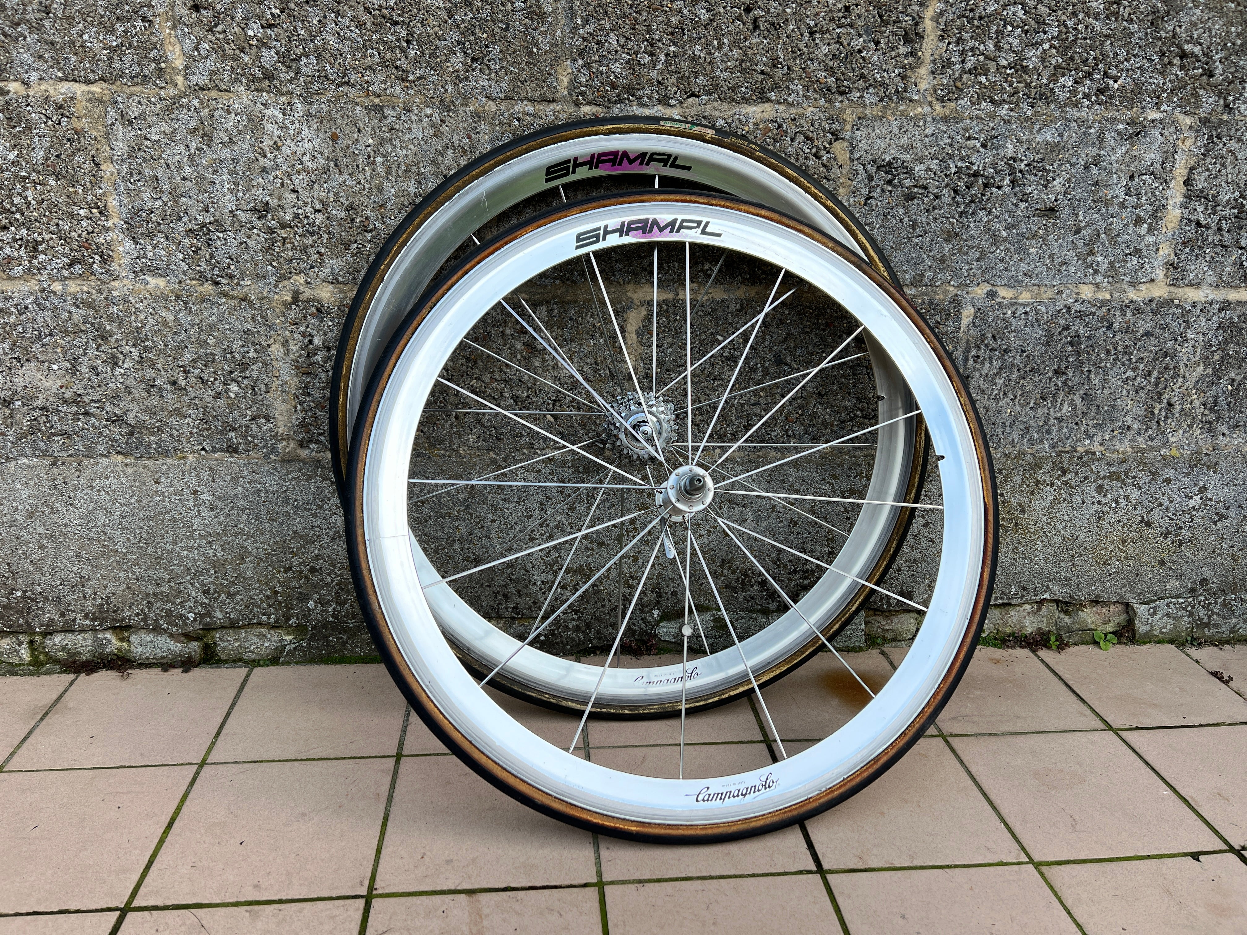 Campagnolo Shamal Wheelset