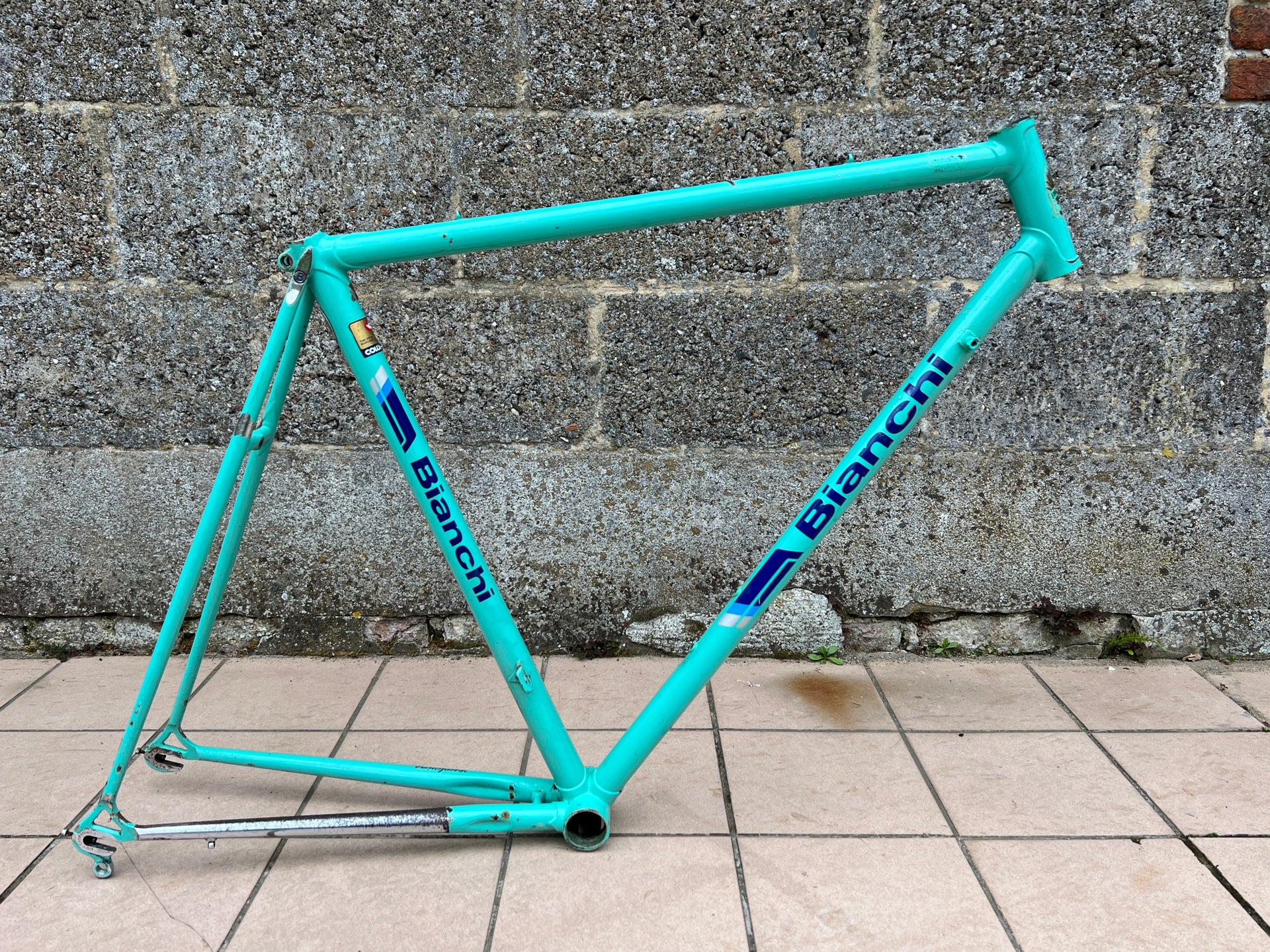 Bianchi Specialissima Frame