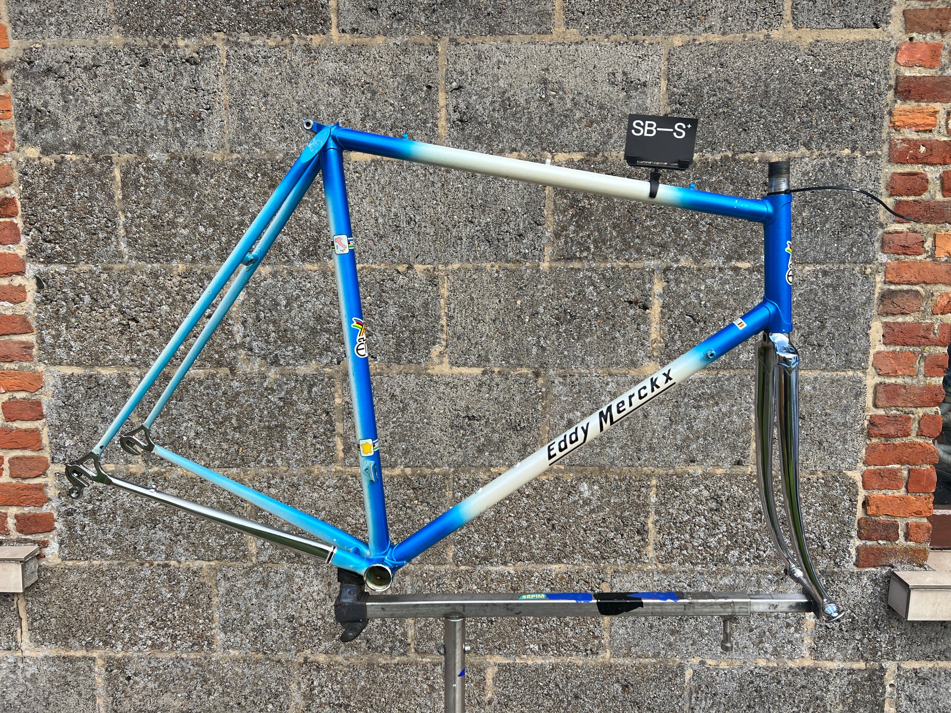 Eddy Merckx Professional