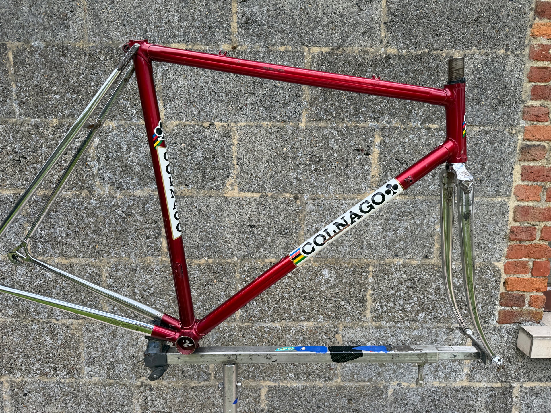 Colnago Nuovo Mexico Saronni