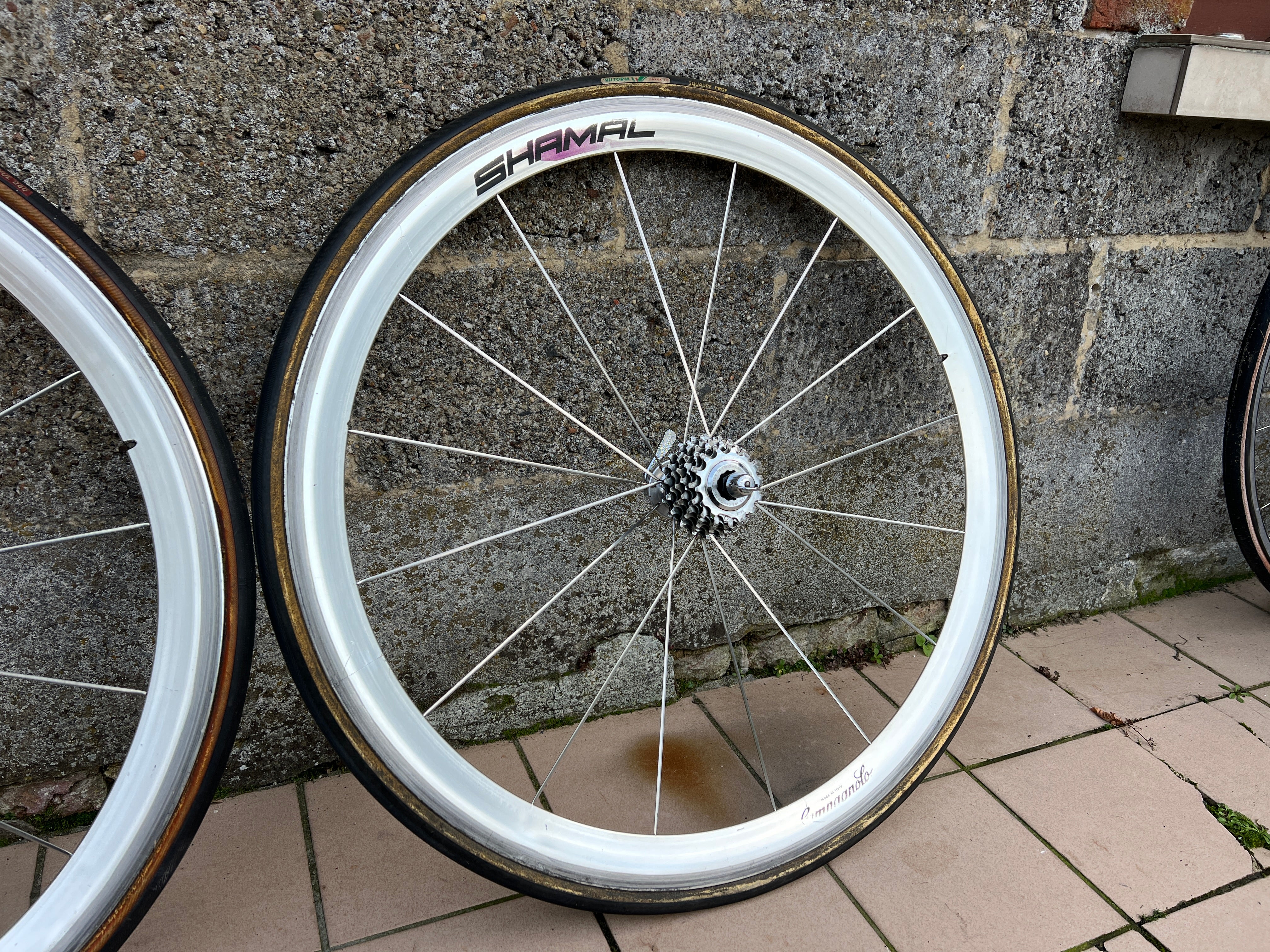 Campagnolo Shamal Wheelset