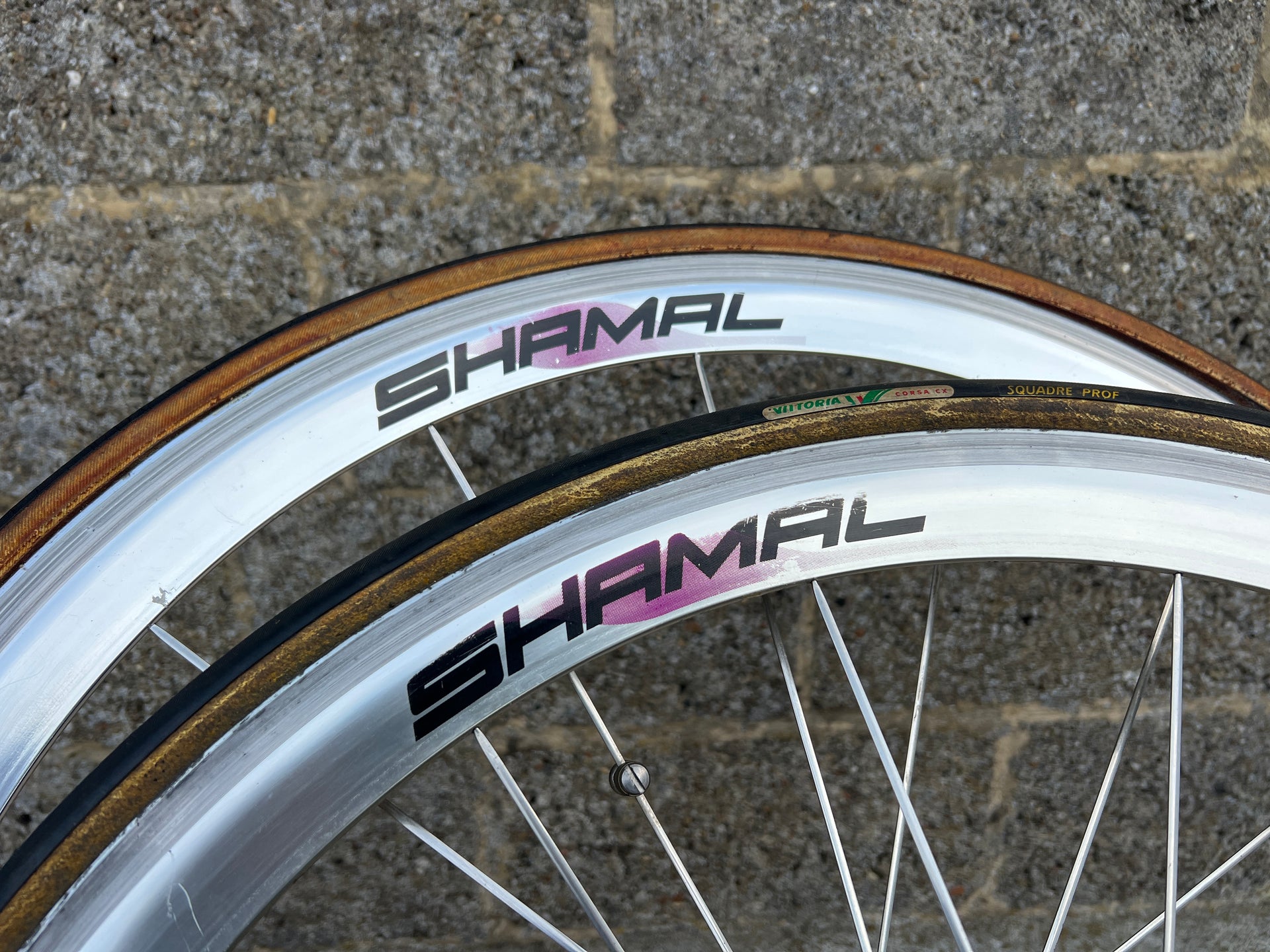 Campagnolo Shamal Wheelset