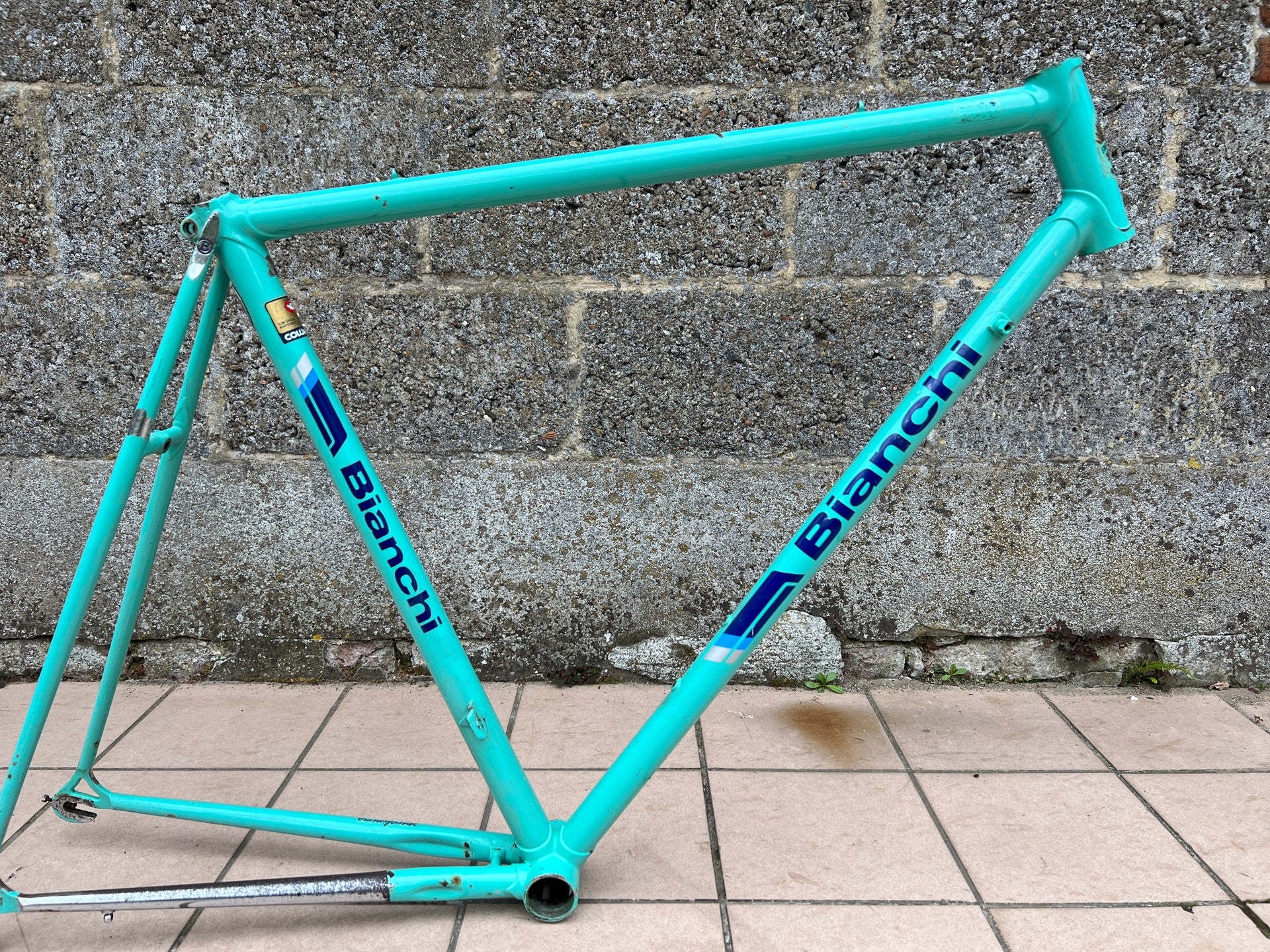 Bianchi Specialissima Frame