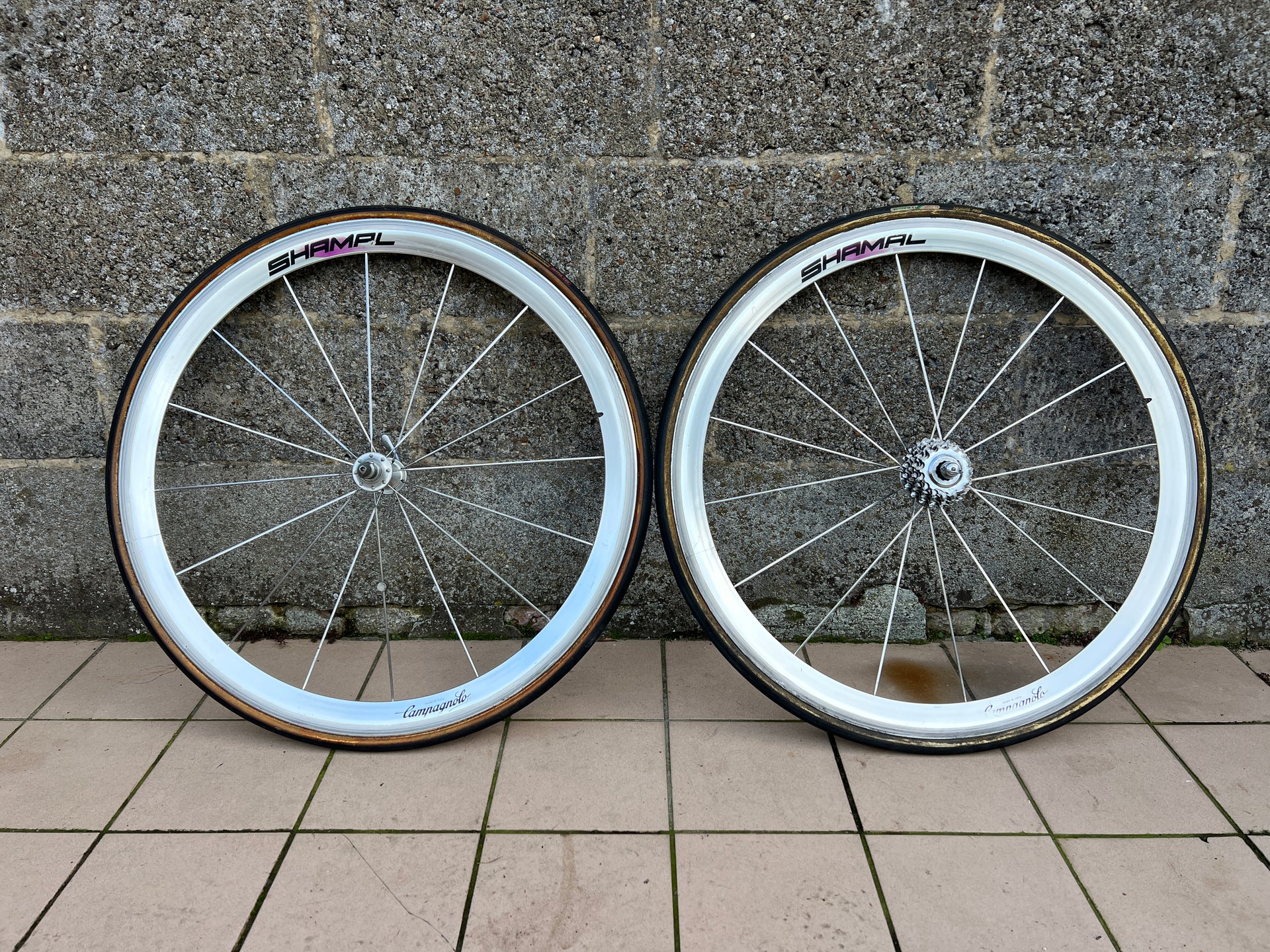 Campagnolo Shamal Wheelset