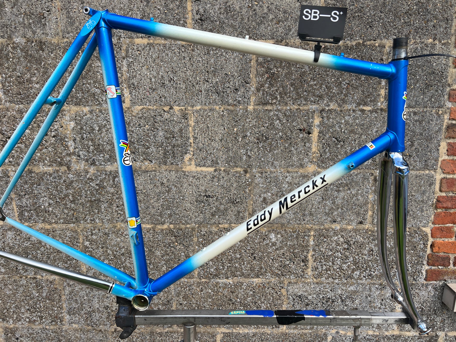 Eddy Merckx Professional